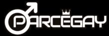 parcegay la mejor guía gay de españa.